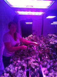 Crystal Boze with the basil she grows under LumiGrow LED horticultural lights.